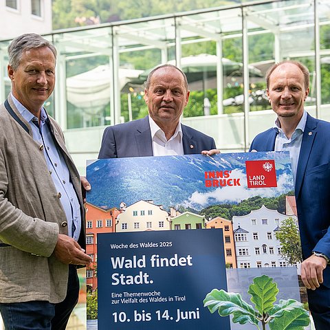 „Wald findet Stadt“: Woche des Waldes startet